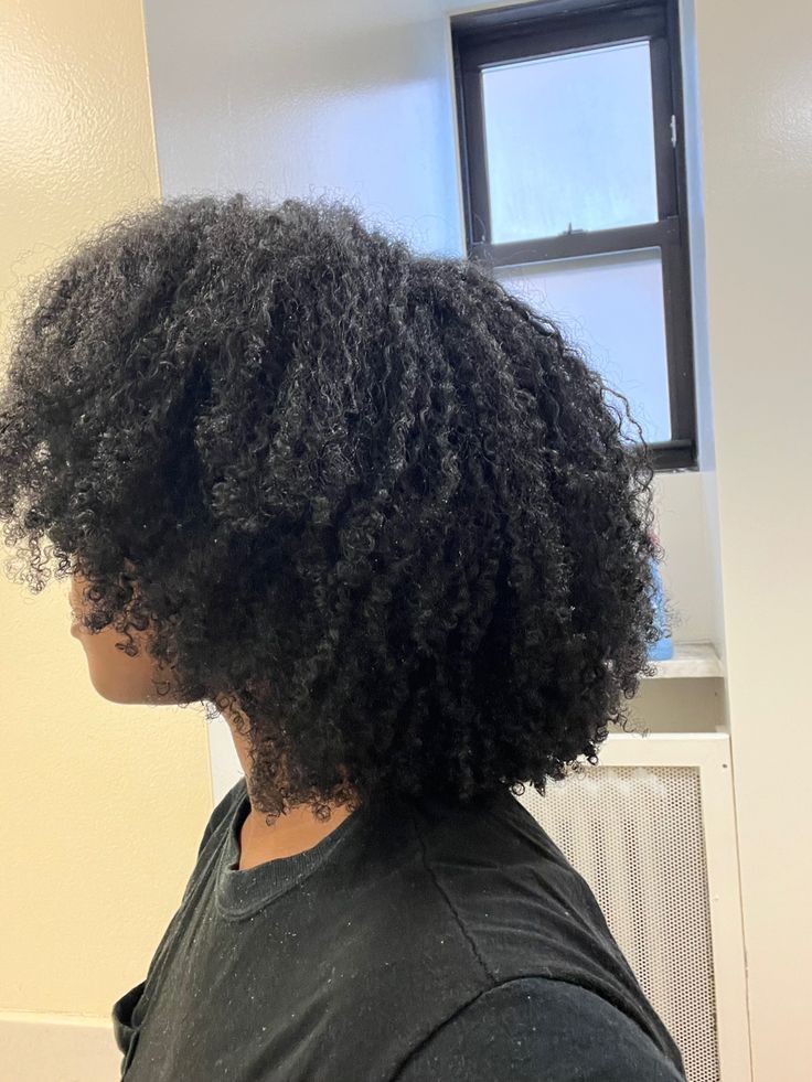 Coily Hair-Type-4b-4c)