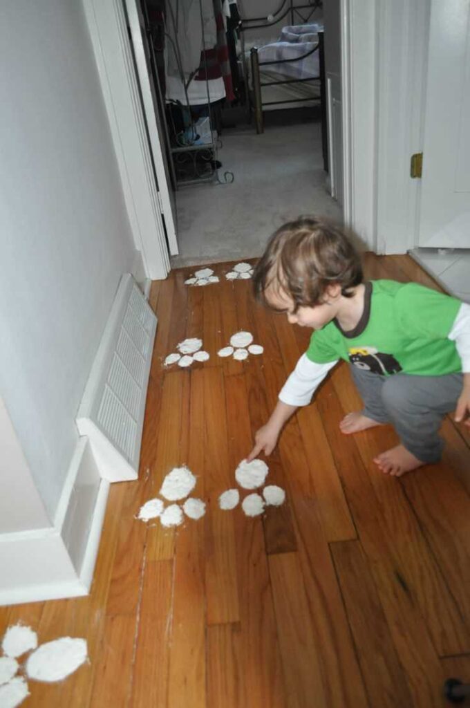 Bunny-Footprint-Pathways