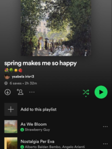 Must-Have-Spring-Bucket-List-Ideas-for-Soft-Girls