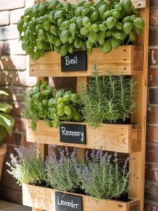 Spring-garden-ideas-for-beginners