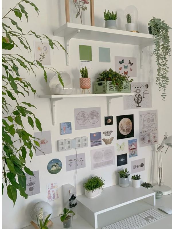 Beautiful-Sage-Green-Dorm-Room-Ideas-for-a-Cozy-Space