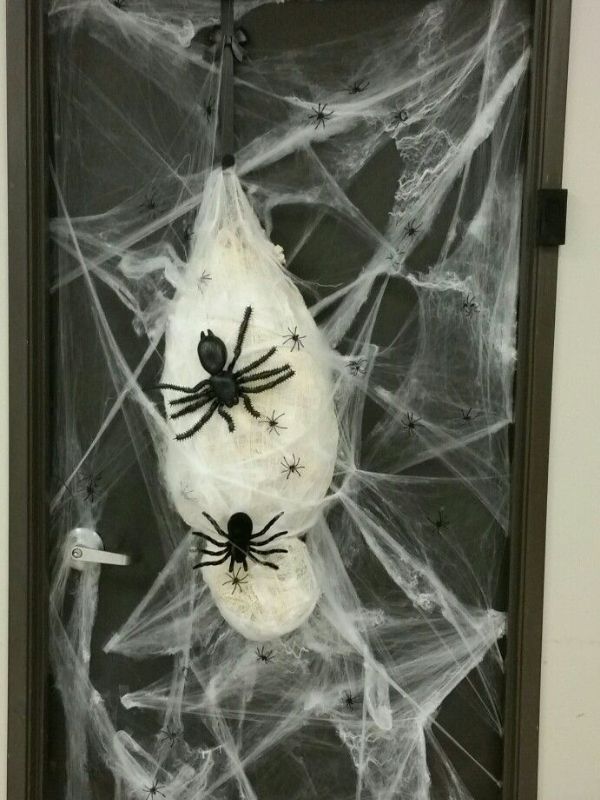 Cover-Your-Doorway-With-Giant-Spider-Web