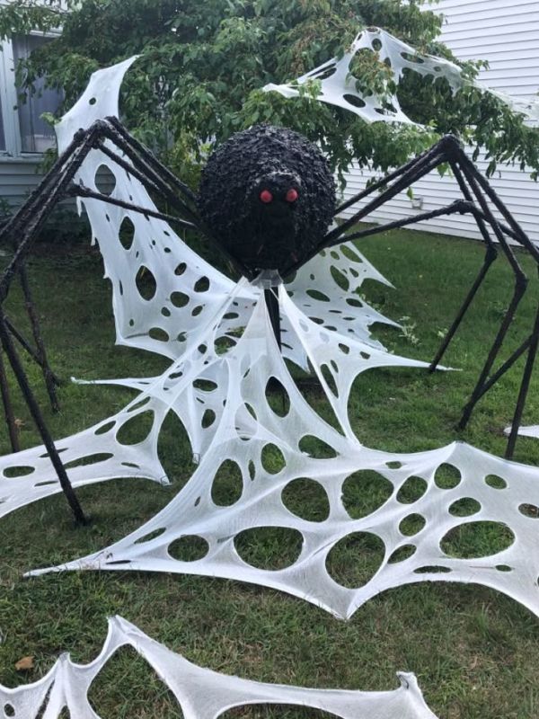 Giant-Spider-Web
