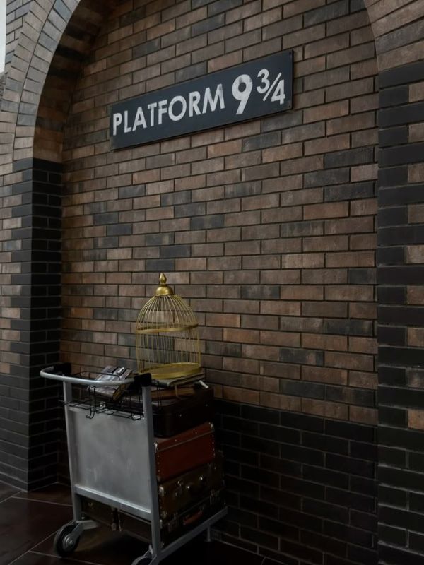 25-unforgettable-harry-Potter-birthday-party-ideas-for-adults-featuring-platform-93/4-