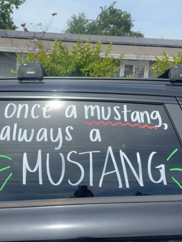 30-amazing-car-chalk-window-ideas-featuring-funny-message.