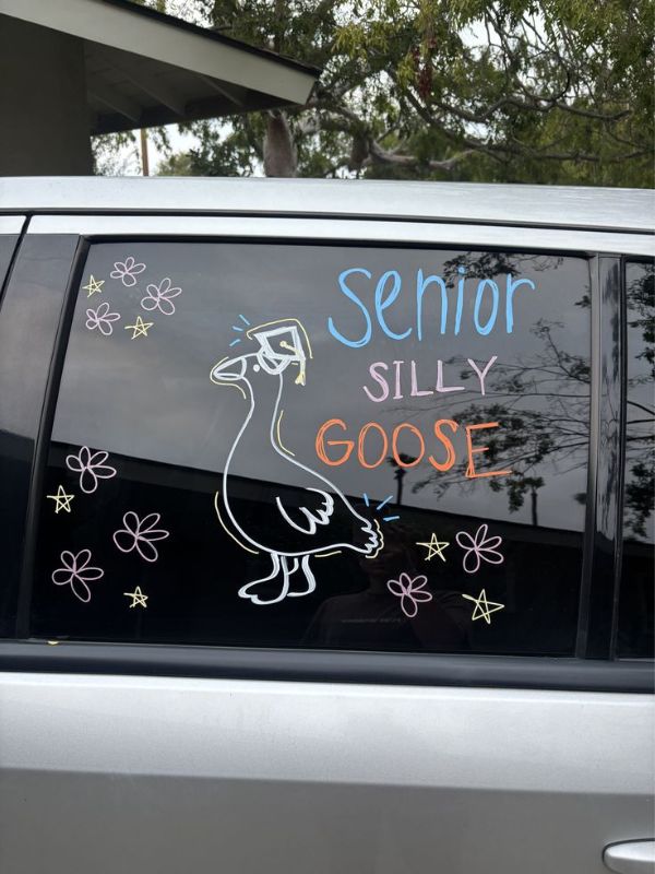 30-amazing-car-chalk-window-ideas-with-future.