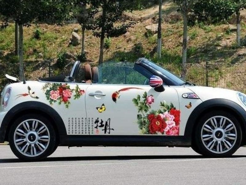 Floral-Car-Painting